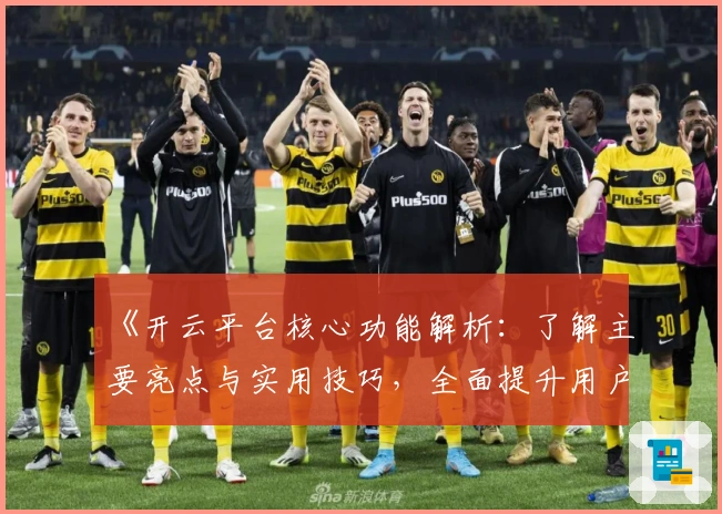 《开云平台核心功能解析：了解主要亮点与实用技巧，全面提升用户体验》